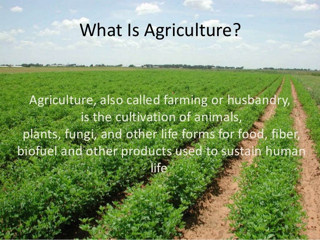 What is agriculture? Agriculture, also called farming or husbandry, is the cultivation of animals, plants, fungi, and other life forms for food, fiber, biofuel and other products used to sustain human life
